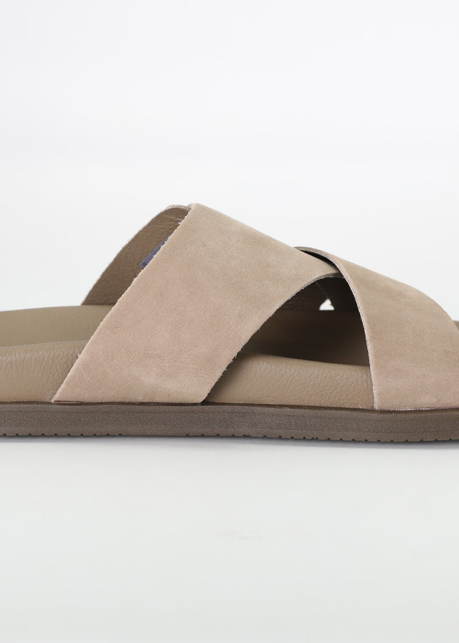 شباشب ديموكراتا 554101