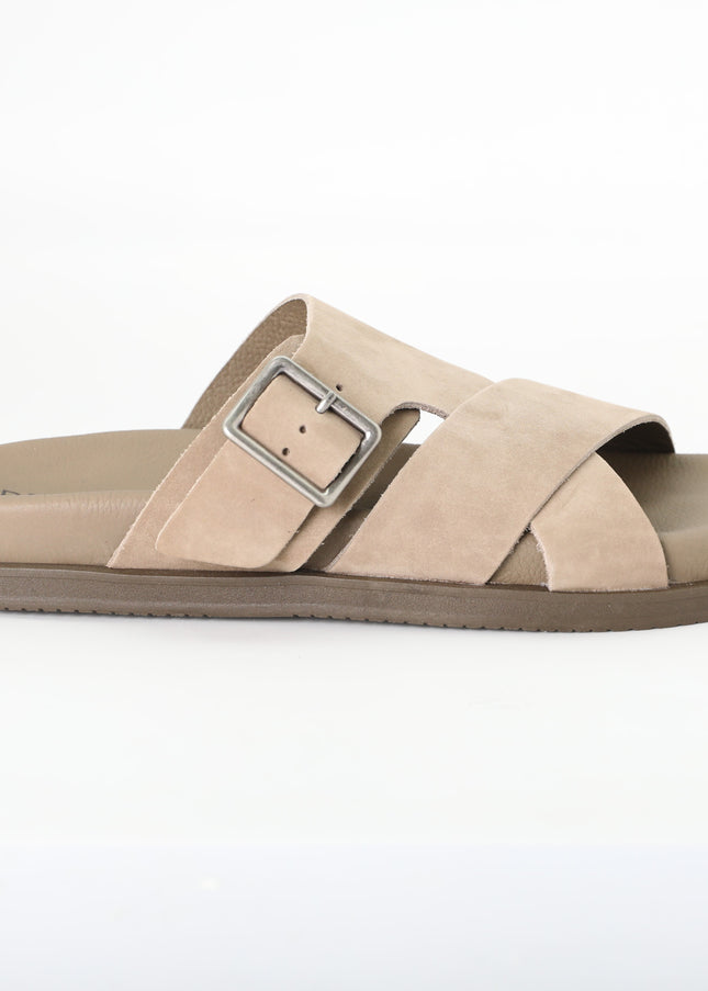 شباشب ديموكراتا 554101