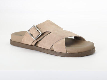 شباشب ديموكراتا 554101