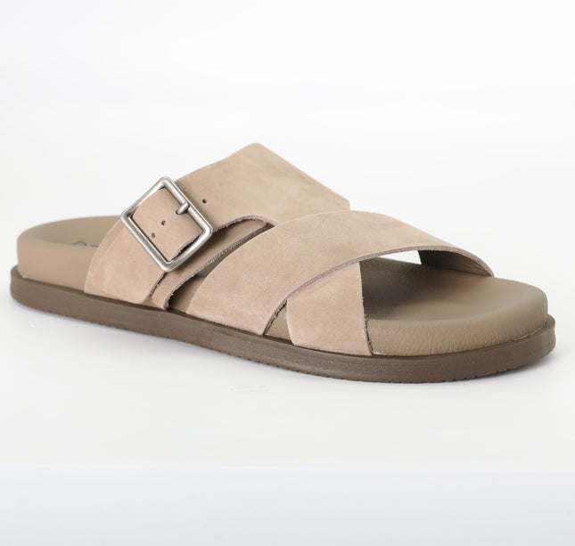 شباشب ديموكراتا 554101