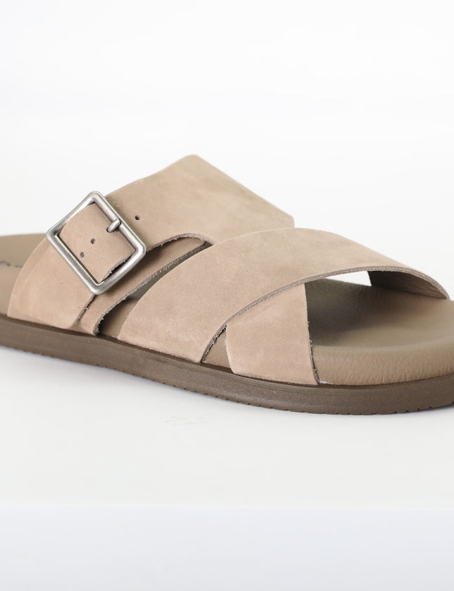 شباشب  ديموكراتا 554101