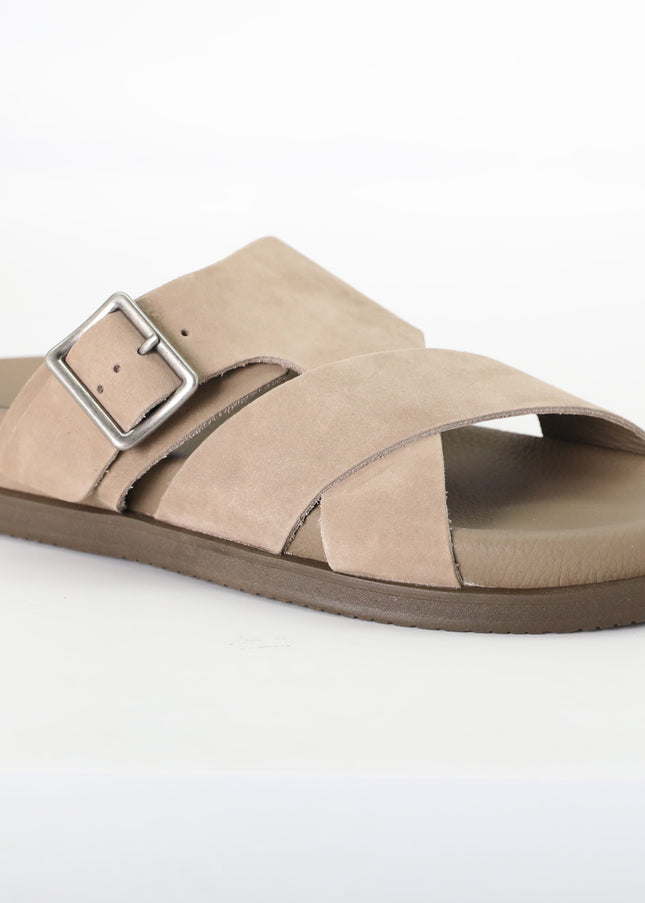 شباشب ديموكراتا 554101