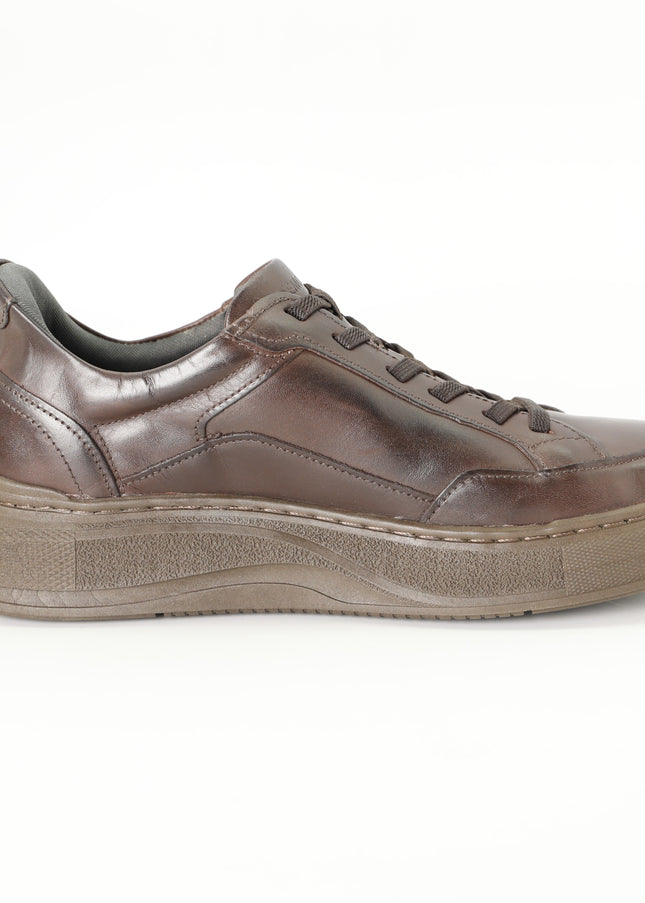 أحذية ديموكراتا 653101