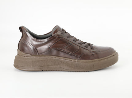 أحذية ديموكراتا 653101