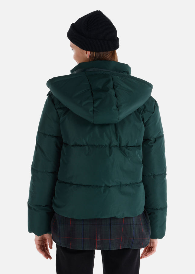 كولينز مونت 1064976