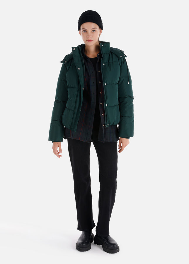 كولينز مونت 1064976