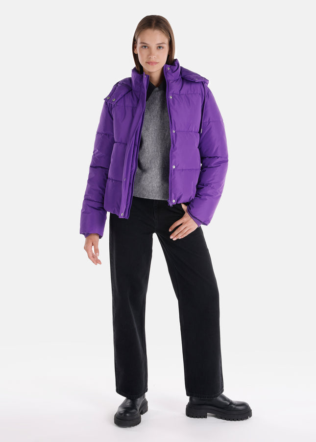 كولينز مونت 1064976