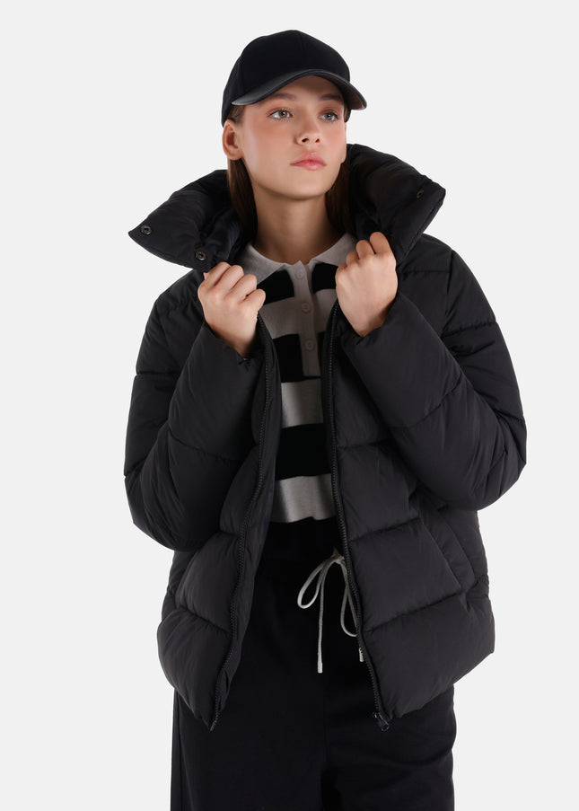 كولينز مونت 1064981