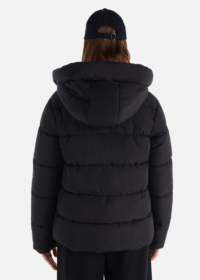 كولينز مونت 1064981