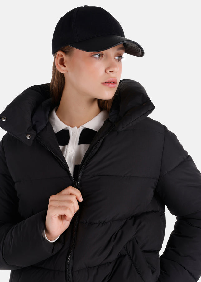 كولينز مونت 1064981