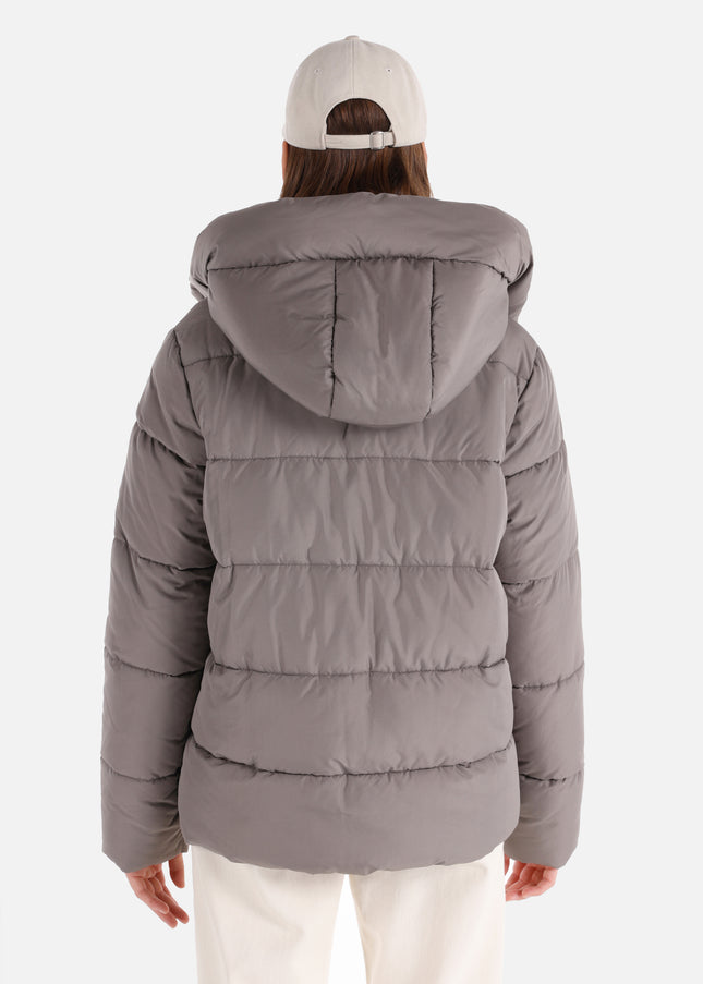 كولينز مونت 1064981