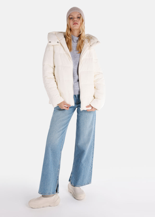 كولينز مونت 1064981