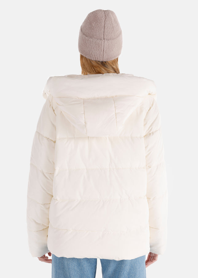 كولينز مونت 1064981