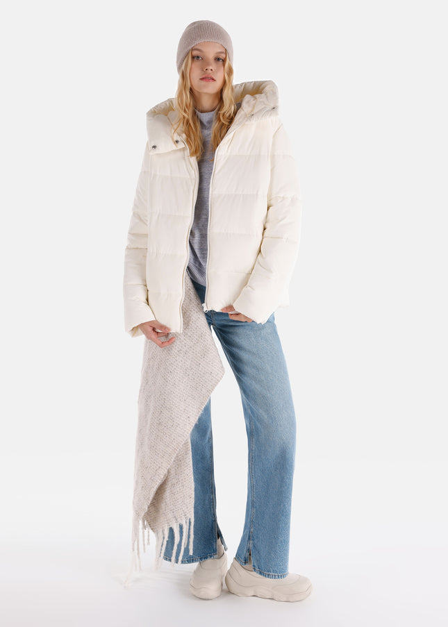 كولينز مونت 1064981