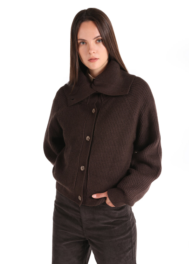 كارديجان كولينز 1065652