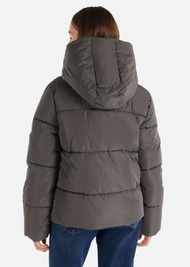 كولينز مونت 1065788