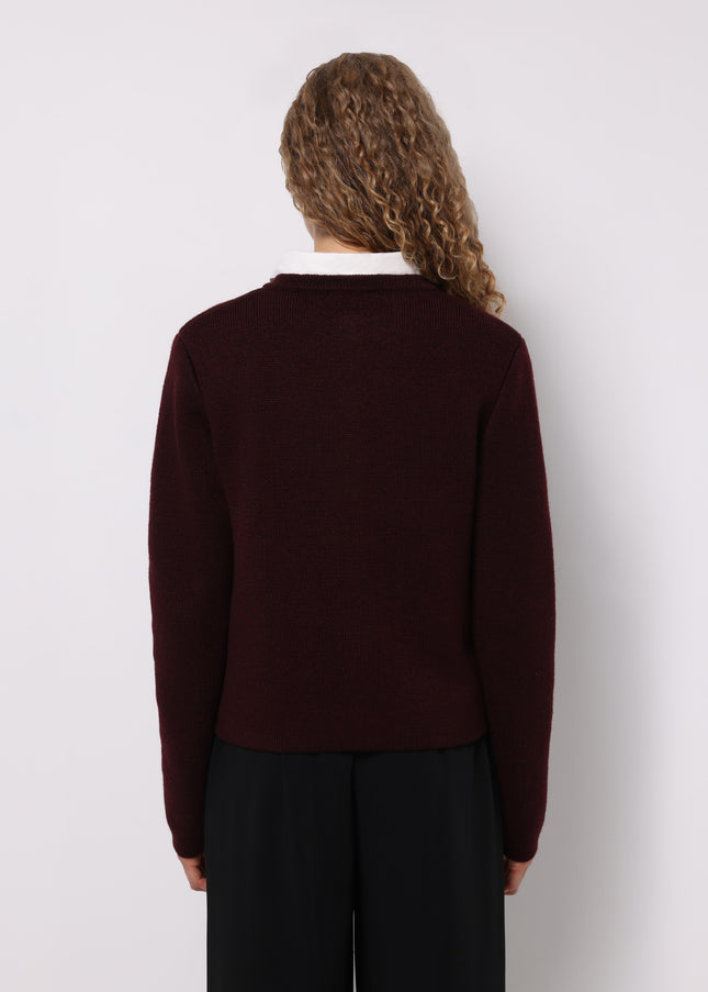 كارديجان كولينز 1077093