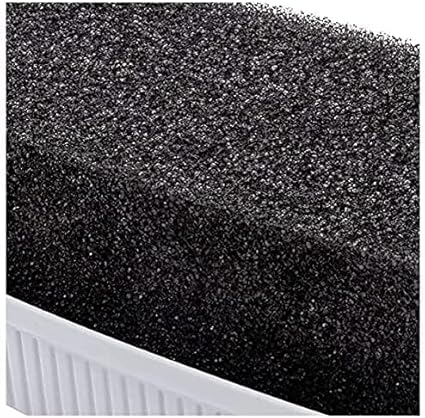 BNS Sponge Shoe Polish